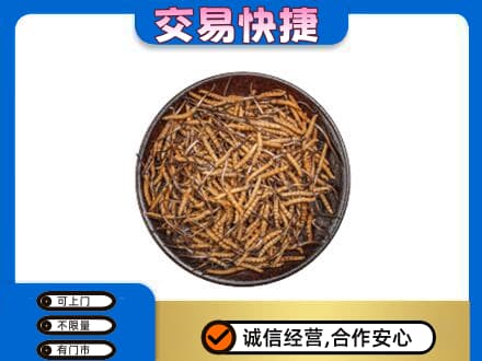 抚顺县回收散虫草